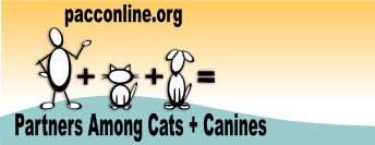 Partners Among Cats and Canines